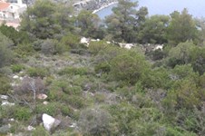 Property 461 photo 4