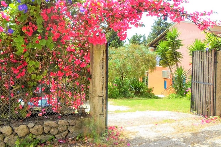 Realty photo 2