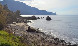 Zemljište 4500 m² na Krfu