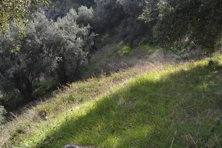 Realty photo 3