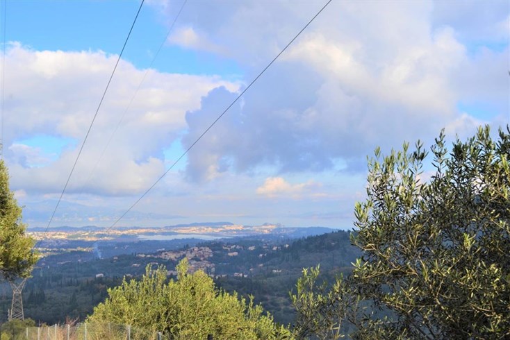 Realty photo 1