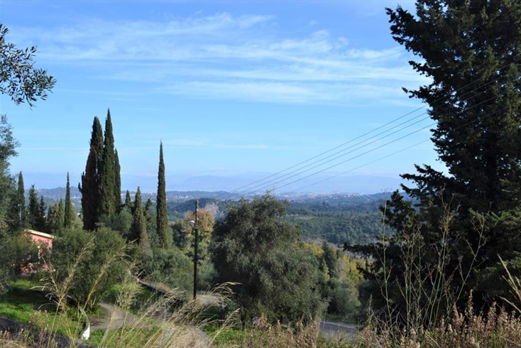 Realty photo 2