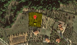 Land 2500 m² in Sithonia, Chalkidiki