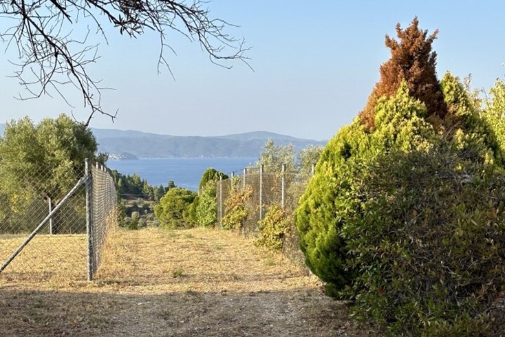 Realty photo 2