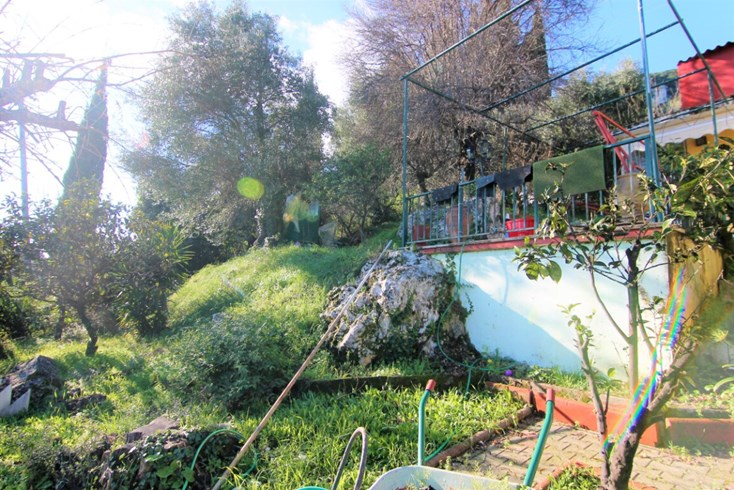 Realty photo 3
