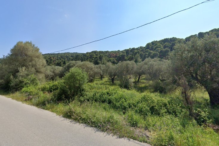 Realty photo 1