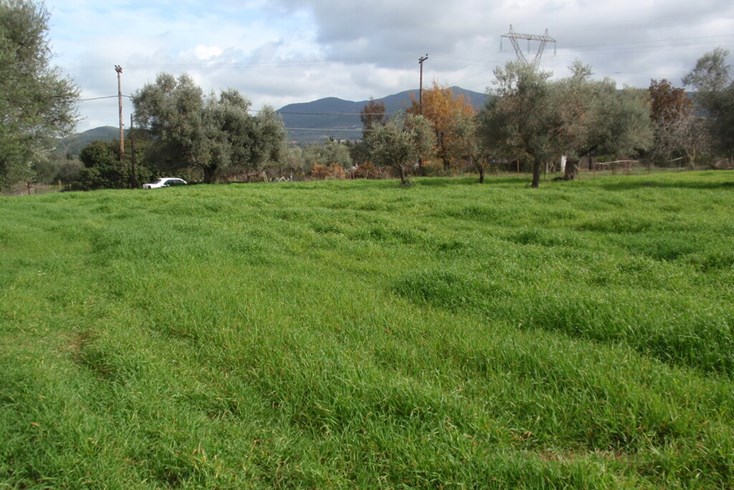 Realty photo 1