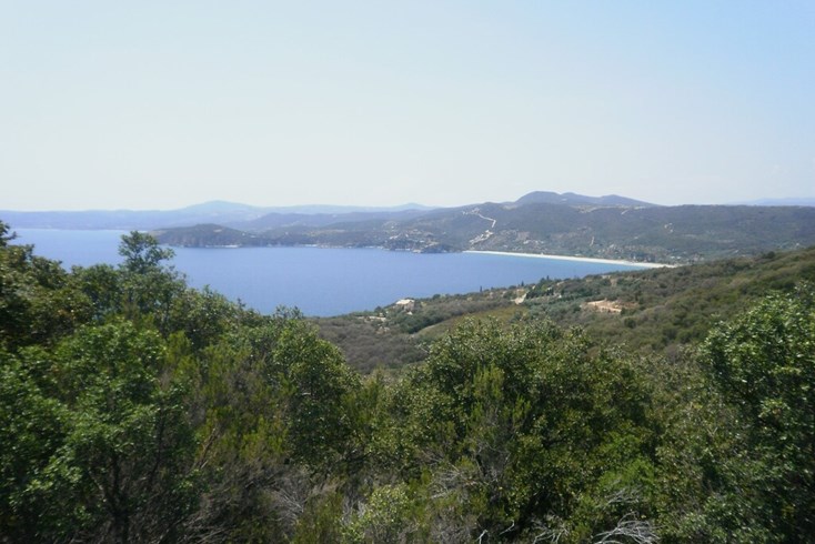 Realty photo 1
