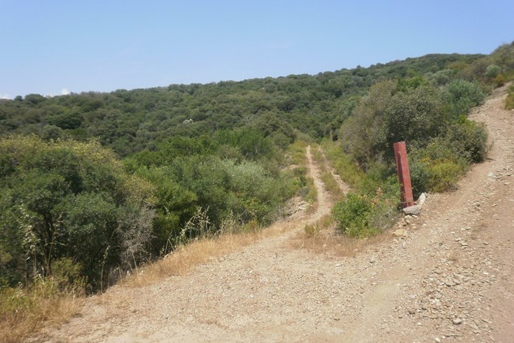 Realty photo 2