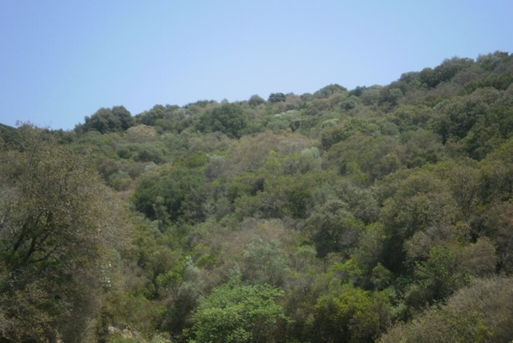 Realty photo 3