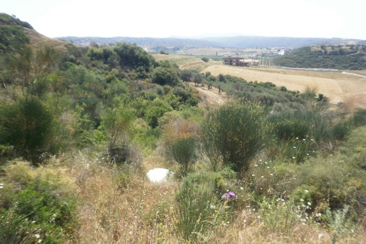 Realty photo 1