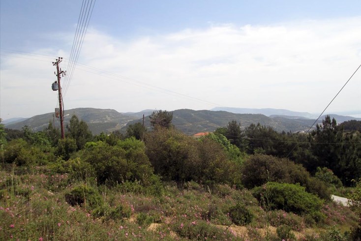 Realty photo 2