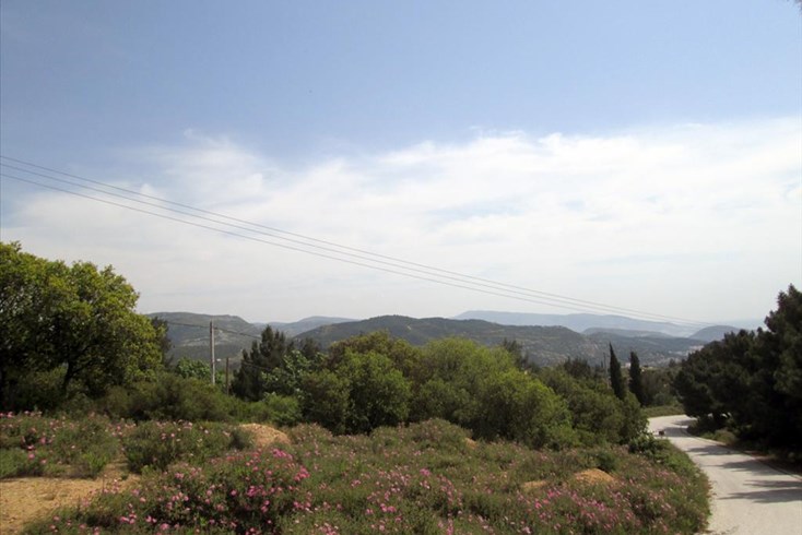 Realty photo 1
