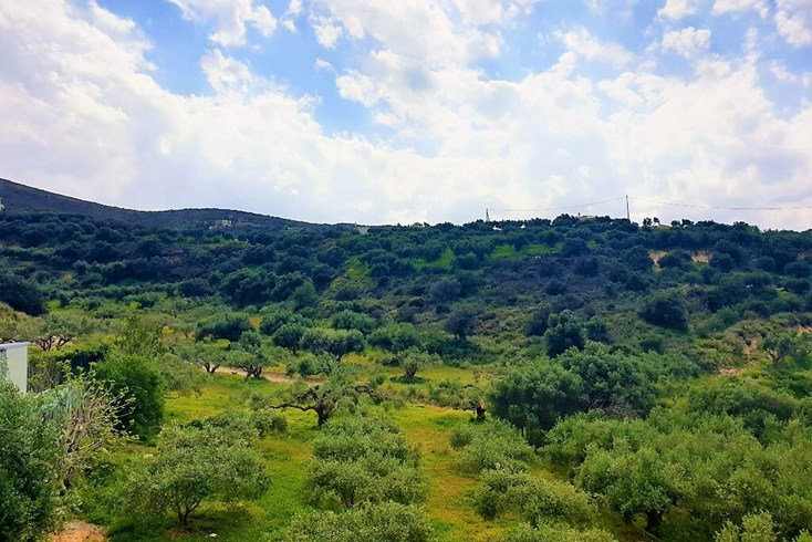 Realty photo 1