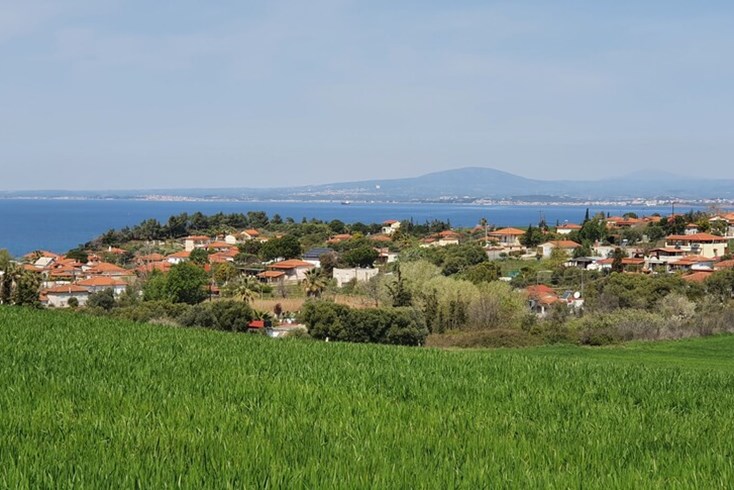 Realty photo 1