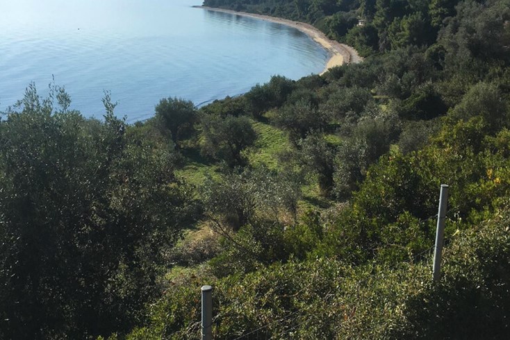 Realty photo 2