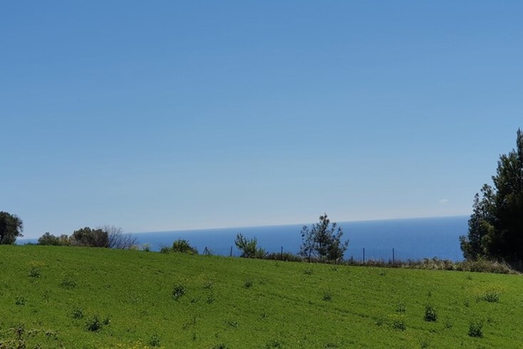 Realty photo 1
