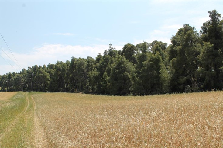 Realty photo 2