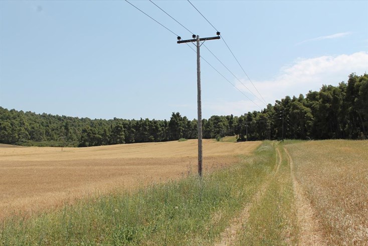 Realty photo 3