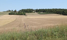 Земельна ділянка 4050 m² на Кассандрі (Халкідіки)