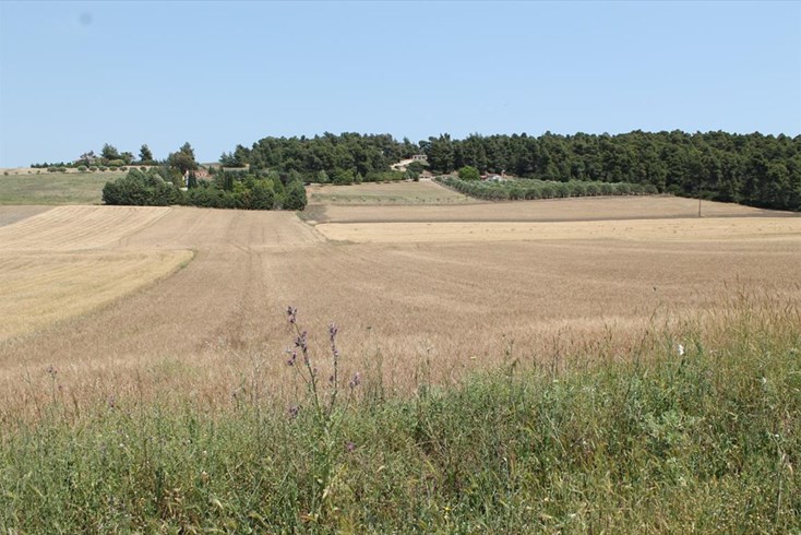 Realty photo 1