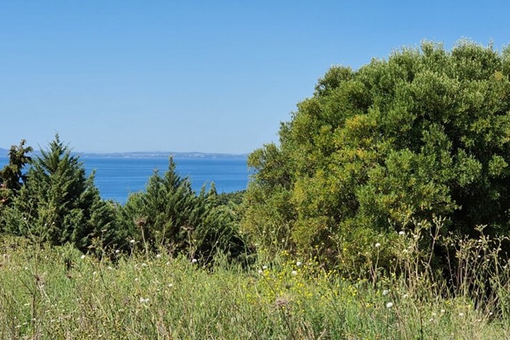 Realty photo 1