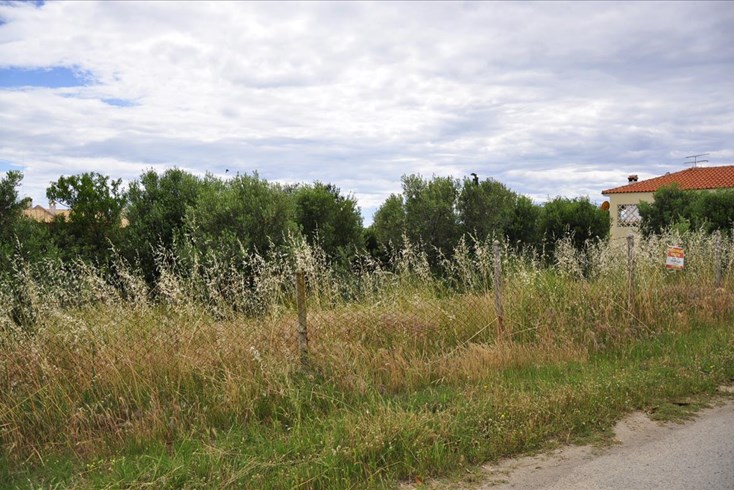 Realty photo 1