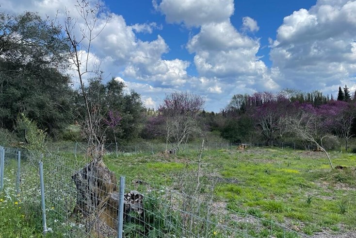 Realty photo 1