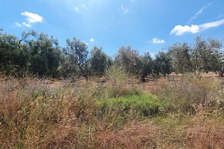 Realty photo 2