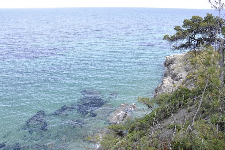 Realty photo 1