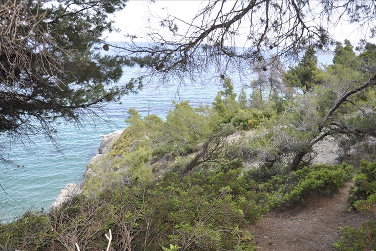 Realty photo 2