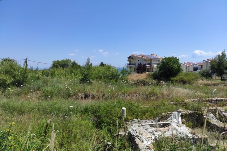 Realty photo 2