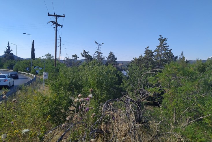 Realty photo 3