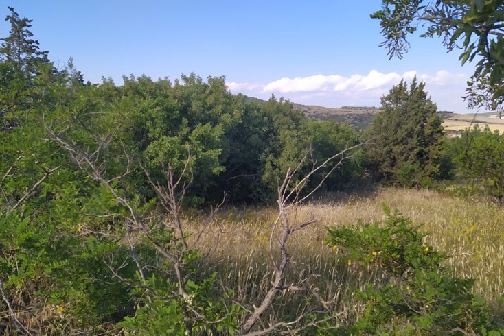 Realty photo 2