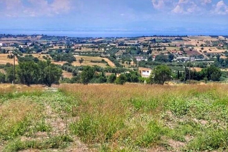 Realty photo 1