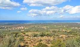 Land 15850 m² in Western Peloponnese