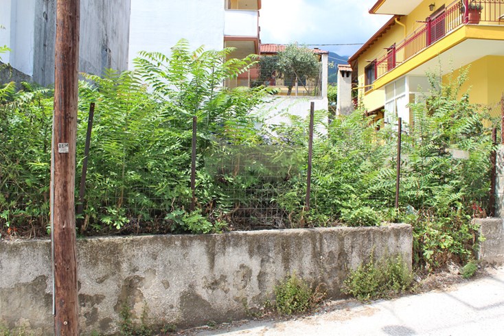 Realty photo 2
