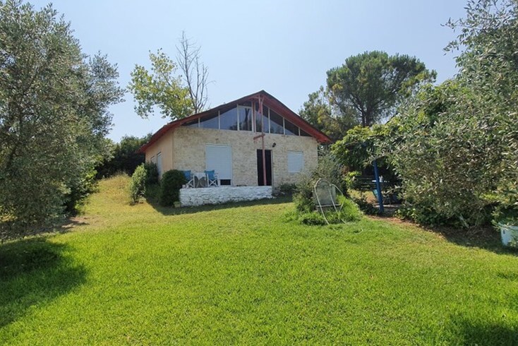 Realty photo 1