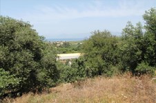 Property 4779 photo 3