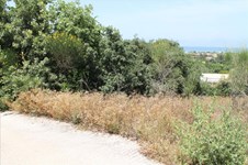 Property 4779 photo 4
