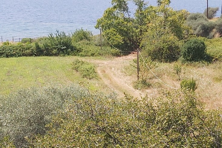 Realty photo 3