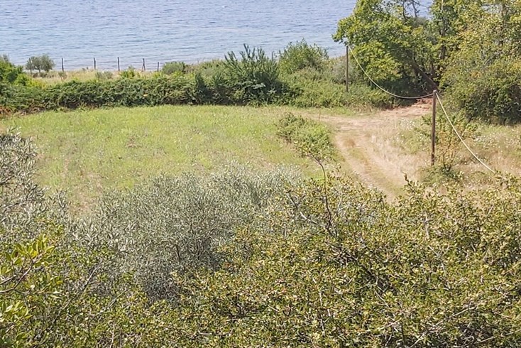 Realty photo 2