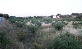 Земельный участок 9491 m² на Крите