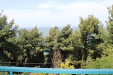 Property 4813 photo 2