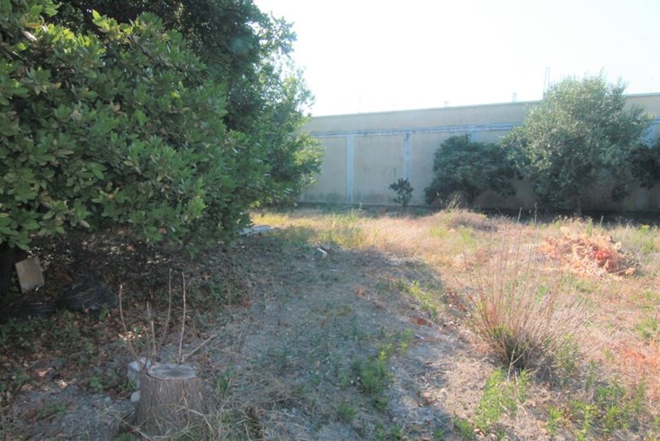 Realty photo 2