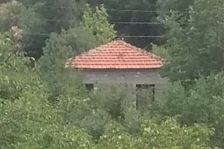 Realty photo 2