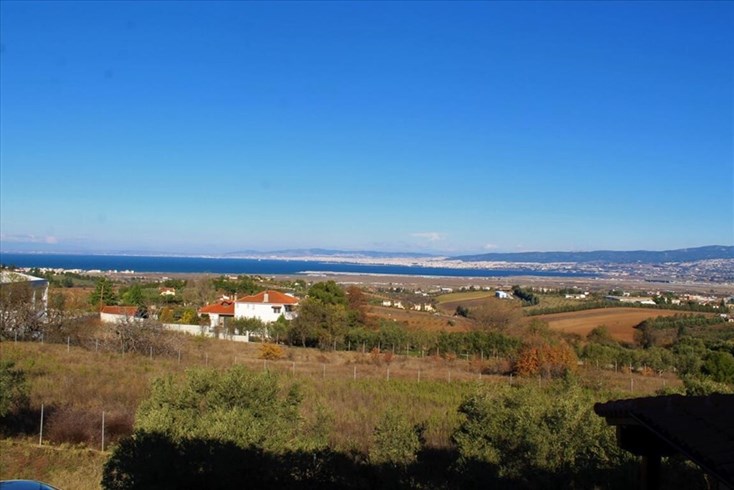 Realty photo 2
