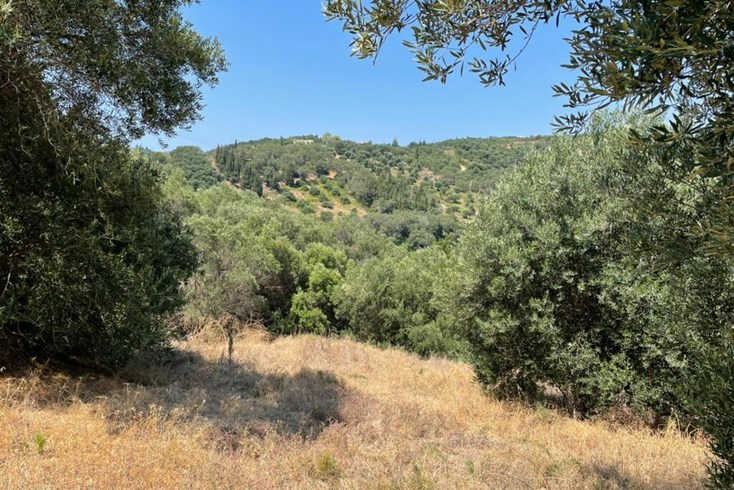 Realty photo 1