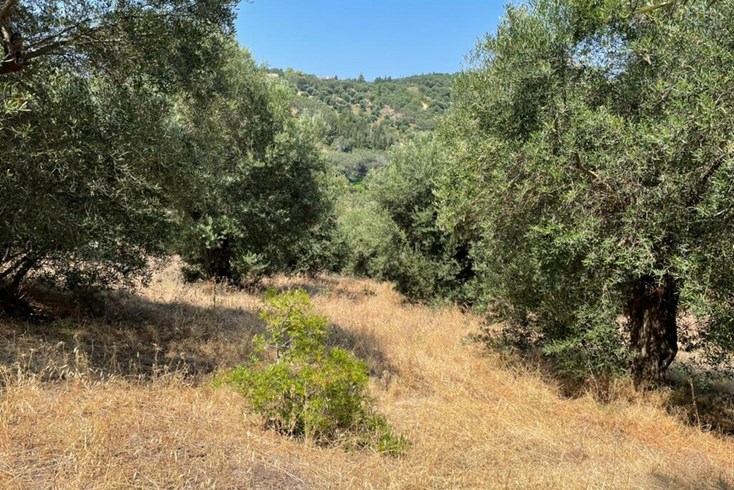 Realty photo 2
