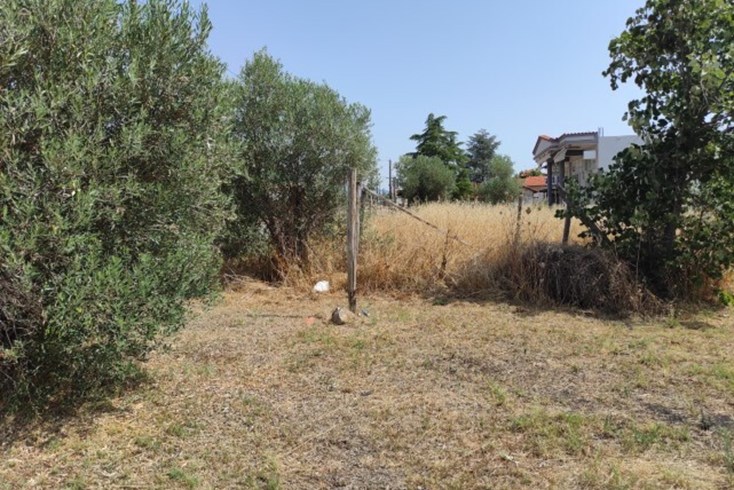 Realty photo 2